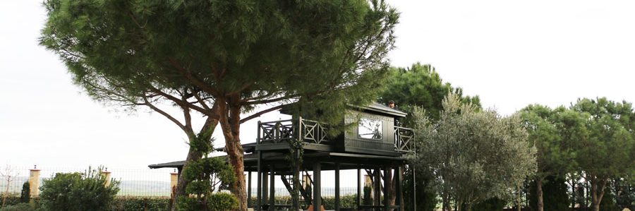 Grandma’s Wonderland Ağaç Ev Grandma's Wonderland Ağaç Ev