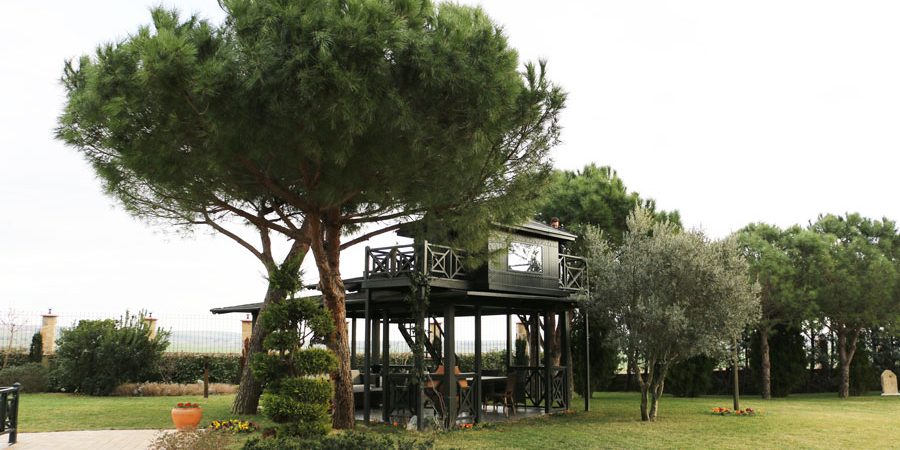 Grandma's Wonderland Ağaç Ev